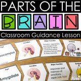 Parts of the Brain Classroom Guidance Lesson & Brain Centers