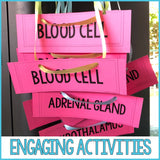 Stress Management Unit: Stress Management Activities, Lessons, and Games