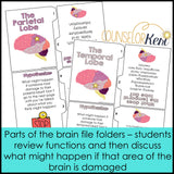 Parts of the Brain Classroom Guidance Lesson & Brain Centers
