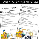Kindergarten Social Skills Activities: Social Skills Group Counseling Lessons