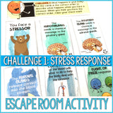 Stress Management Unit: Stress Management Activities, Lessons, and Games