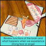Parts of the Brain Classroom Guidance Lesson & Brain Centers
