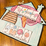Parts of the Brain Classroom Guidance Lesson & Brain Centers