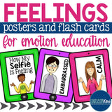 Feelings/Emotions Posters and Flash Cards - School Counseling