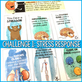 Stress Management Activities: Stress Escape Room for School Counseling