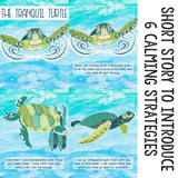Calming Strategies Classroom Guidance Lesson for Teaching Coping Skills