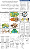 Conflict Resolution Classroom Guidance Lesson for Elementary School Counseling