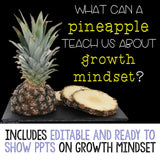 Growth Mindset Classroom Guidance Lesson for Elementary School Counseling
