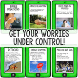 Managing Test Anxiety Classroom Guidance Lesson for School Counseling