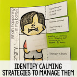 Feelings and Calming Strategies: Identify Emotions and Coping Skills