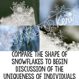 Winter Self Esteem Classroom Guidance Lesson & Self Esteem Activity