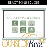 Goal Setting and Perseverance: Executive Functioning Classroom Counseling Lesson