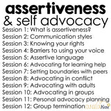 Assertiveness and Self Advocacy Small Group Counseling Curriculum
