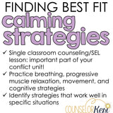 Calming Strategies Counseling Lesson: Coping Skills SEL Activity