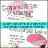 Parts of the Brain Classroom Guidance Lesson & Brain Centers