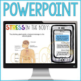 What is Stress Classroom Guidance Lesson on Stress Response System