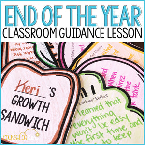 End of the Year Activity Reflections and Transitions Classroom Guidance Lesson