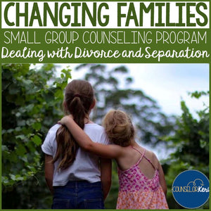 Family Changes Small Group Counseling Program for Divorce or Separation