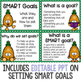 SMART Goals Classroom Guidance Lesson for Elementary School Counseling