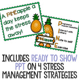 Stress Management Classroom Guidance Lesson for Elementary School Counseling