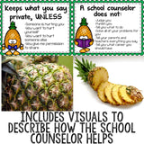 Meet the Counselor Classroom Guidance Lesson Early Elementary School Counseling