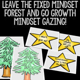 Growth Mindset Classroom Guidance Lesson for Elementary School Counseling