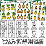 Identifying Feelings Classroom Guidance Lesson Early Elementary Counseling